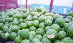 天津4s吃瓜爆料视频,揭秘汽车销售内幕